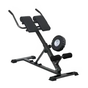 Adjustable Hyperextension Roman Chair