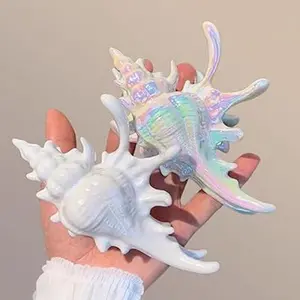 2 Pack Conch Hair Clips for Women Beach Ocean Seashell Large Hair Claw Clips Mermaid Accessories for Thick and Thin Hair