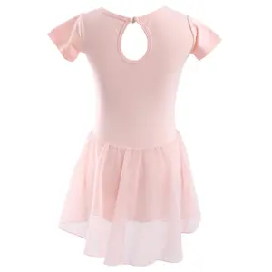 Girls’ Pink Ballet One-Piece Puffy Skirt | Short-Sleeve Chiffon Dancewear for Practice & Performances, Ethereal Dress