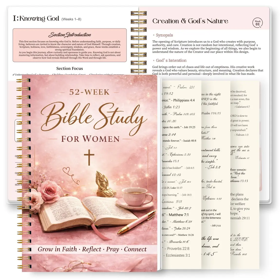 52-Week Women's Bible Study Devotional Notebook, Luxury Prayer Journal, Metal Wirebound Scripture Reading Planner, Faith Growth Gift