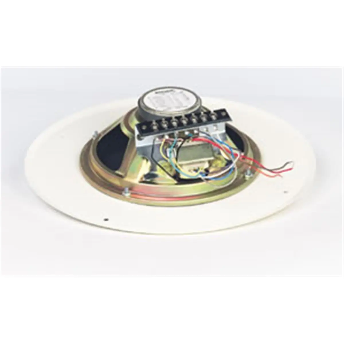 212 MAIN Bogen S86T725PG8W Steel Cone Speaker - Audio Device with Amplifier, Pre-Assembled for Faster Installation, Transformer Tap, No Volume Control