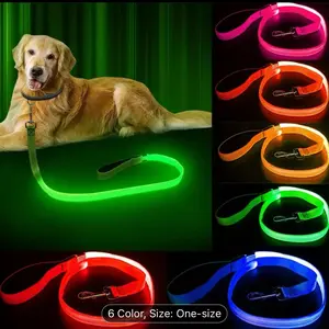 Glow-in-the-Dark LED Dog Leash for Safe Night Walks