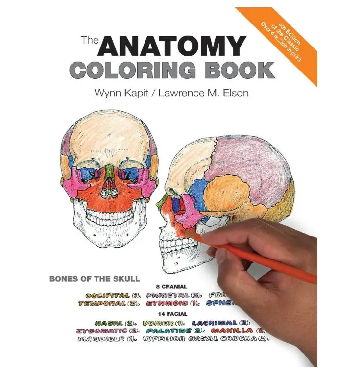 Anatomy Coloring Book, The