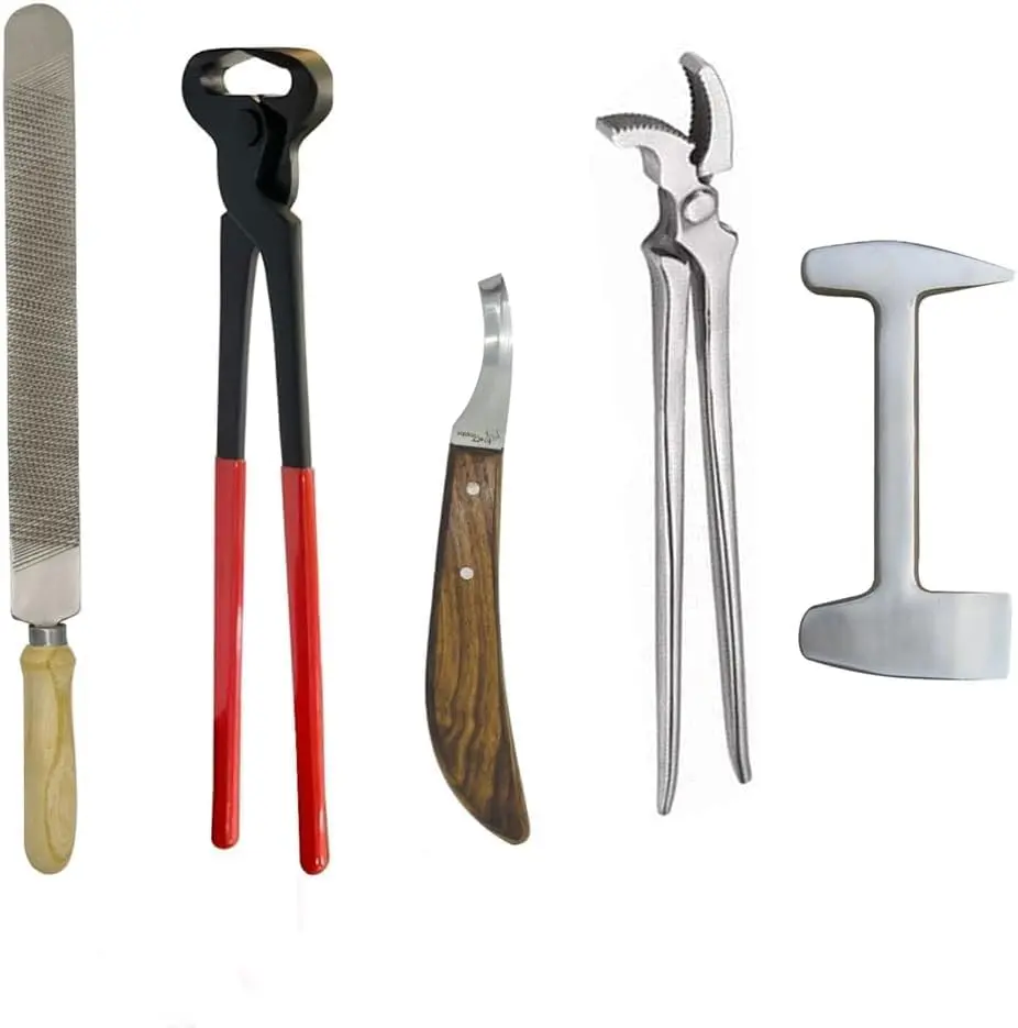 5 PCS Farrier Horse Hoof Care Kit–Complete Set of Nippers,Hoof Rasp,Ergonomic Handle,RH Poly Knife, Hoof Trimming,Shaping,&Shoeing Tools for Professional Farriers,Horse Owners,Equine Care Experts