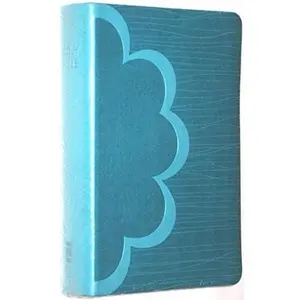 USED-NIV Zondervan Compact Pocket Bible Teal Light Blue Italian Duo Tone by New International Version (Unknown)