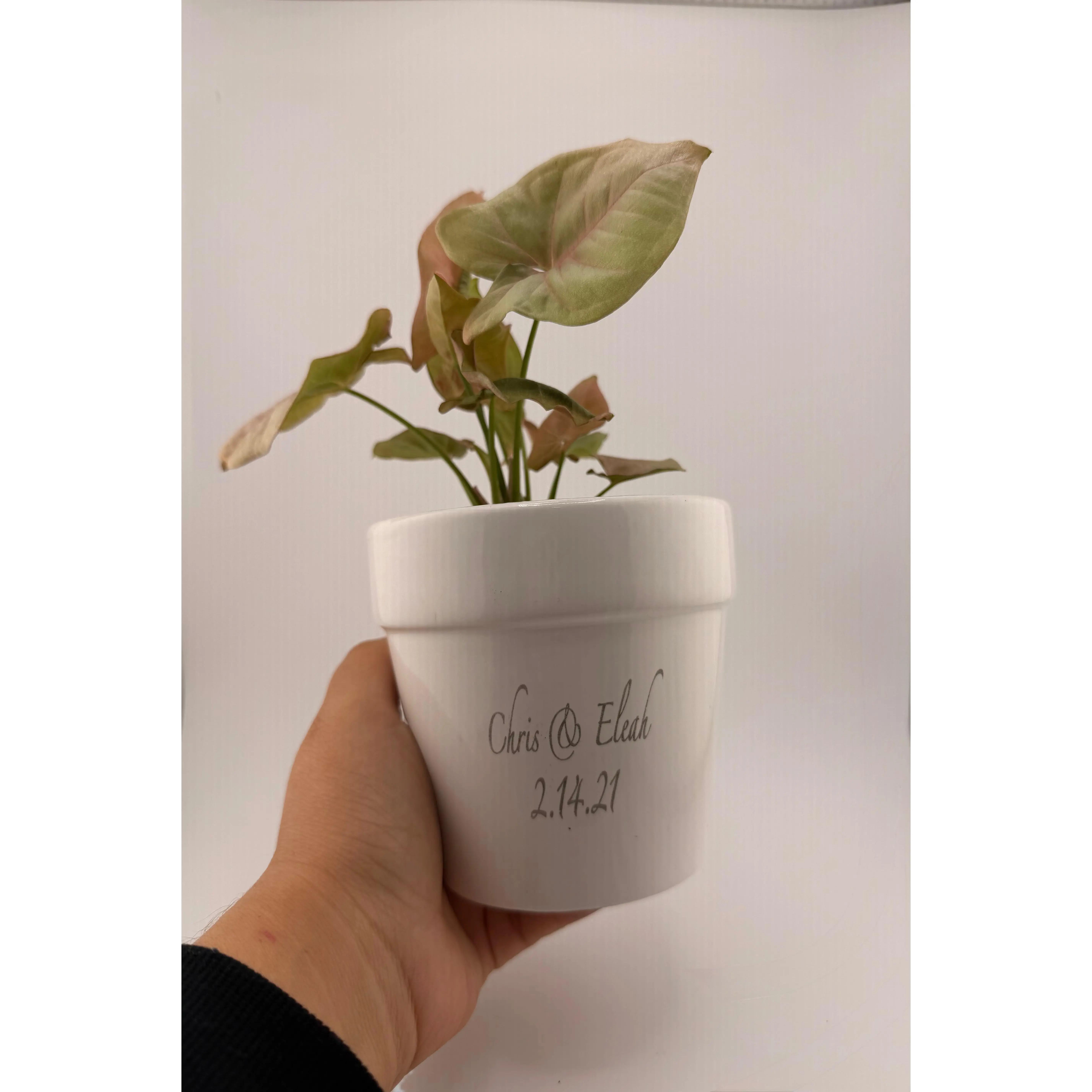 Personalized Ceramic Flower Pot | Custom Engraved Planter with Couple's Names & Date