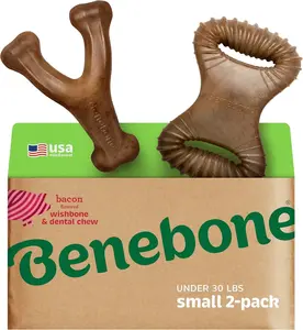 Durable Dog Chew Toy for Aggressive Chewers – Benebone