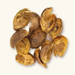 Natural Betel Nut Pods (12c) by Betta Botanicals for Shrimp Tanks & Betta Tanks