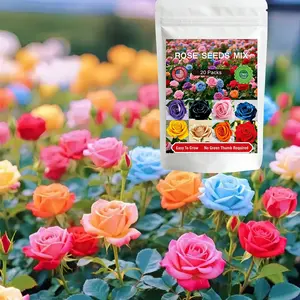 Rose Seeds Mix 20 Packs with 6000+Pcs, Heirloom Open Pollinated Non-GMO Perennial Rosa Seeds, Long-Blooming Ornamental Plants Perfect for Fence, Trellis, Arches & Beautiful Outdoor Garden Décor