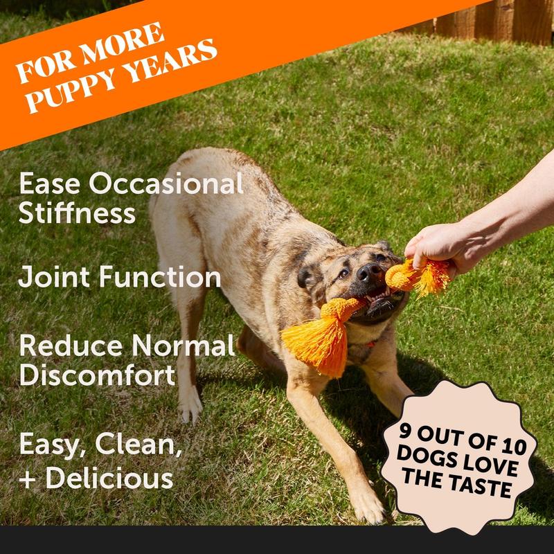 Pet Honesty Hip and Joint Liquid Supplement with Glucosamine, Chondroitin and Wild Alaskan Salmon Oil, Mobility Support for Dogs - Turkey 12oz