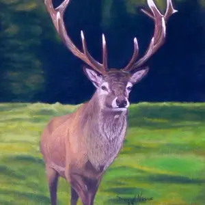 Stanley Red Deer Stag Special Edition Matted Prints of my original pastel painting