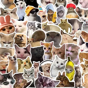 50pcs Cute Funny Cat Meme Stickers Pack, Waterproof Real Cat Photo Viral Internet Cat Meme Decals for Laptop, Water Bottle, Journal & Scrapbook, Cat Lover Gift