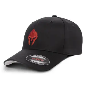 Spartan Warrior Flexfit Unisex Baseball Hat with Embroidered Design unisex hat