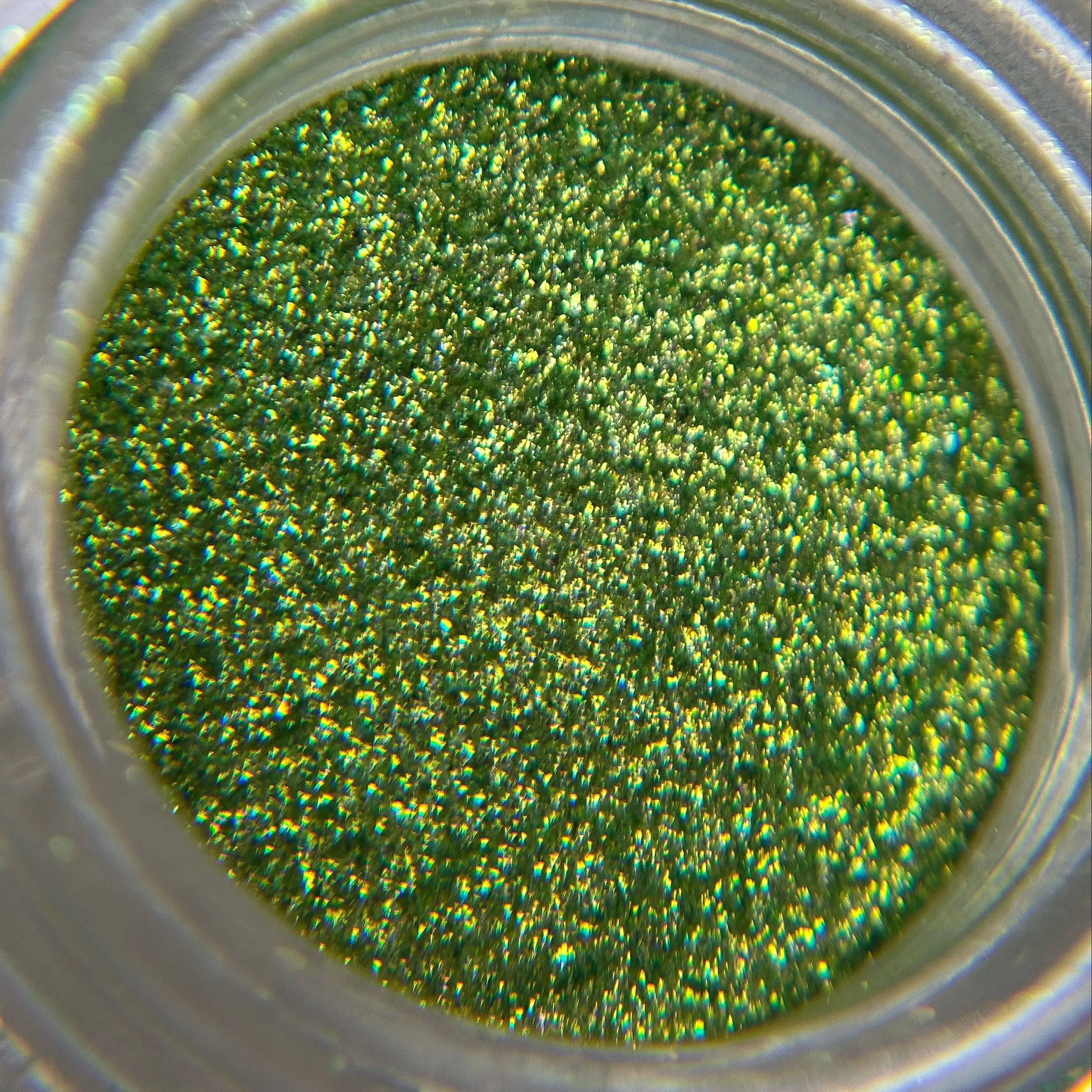 Sacred Grove - Chromatic Iridescent Loose Eyeshadow