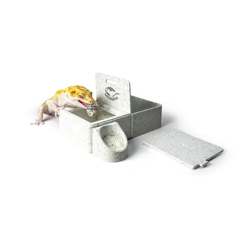 Geckopia Triple Dish