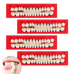 4 Sets 112PCS A2 Color Acrylic Resin Fake Teeth, Complete Upper and Lower Denture Teeth, Synthetic Resin Dental Teeth for Temporary Replacement, DIY Halloween Props & Dental Practice