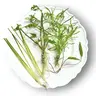 Tofu's Tanks Shrimp Pack (2.0) Live Aquarium Plant Bundle with Fluffy Stem Plant, Short Foreground Plants, Tall Background Plants, and Aquatic Moss or Floaters - Easy beginner live plants with high surface area for shrimp to forage on!