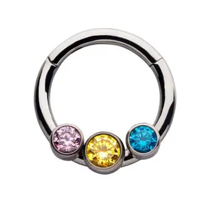 Pride Titanium Hinged Segment Ring Version 2