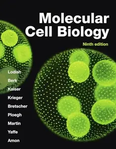 USED-Molecular Cell Biology by Harvey Lodish (Paperback)