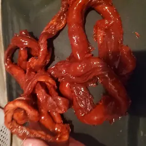 Fake Guts Halloween Prank Scary Display