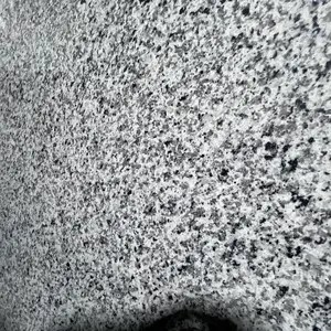 Valle Nevado Granite Coaster for Kitchen Tableware