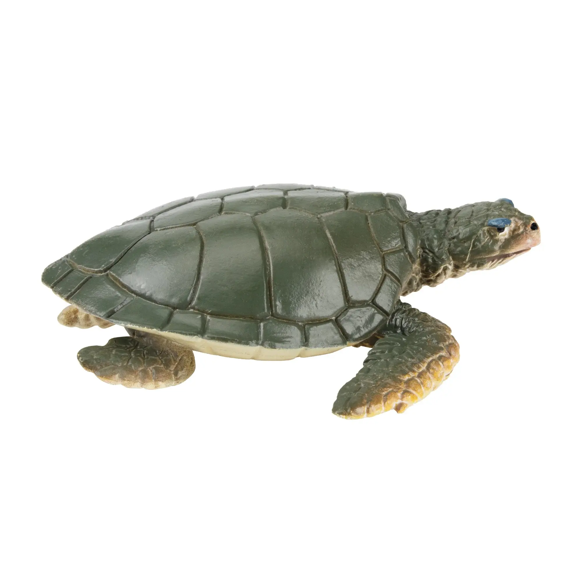 Toymany Hand-Painted Flatback Sea Turtle Figurine – Realistic Marine Animal Model, Perfect for Early Education, Montessori Sensory Play, Cake & Party Decorations, Desk & Home Décor, Thoughtful Gifts, and Collectible Figurine