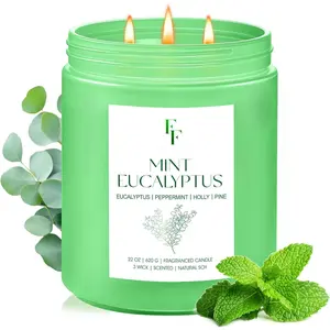 Mint Eucalyptus Large Scented Candle, 3-Wick 22oz Long Lasting Scented Candle,  Soy Wax  Candle for , Candle Gifts for Women Men