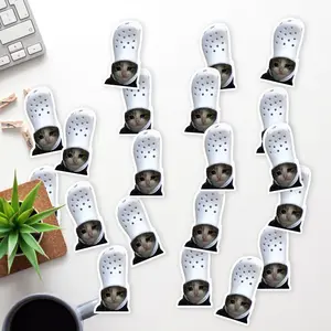 Stickers Pack 20 Pcs Crying Car Colorful Cat Aesthetic Meme Water Bottle In Bike Crocs Guitar Vinyl Bumper Laptop Skateboard Waterproof Luggage