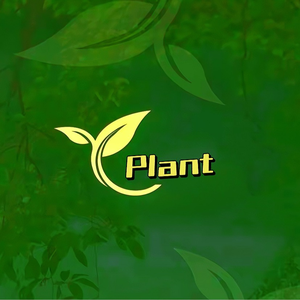 Professional green garden