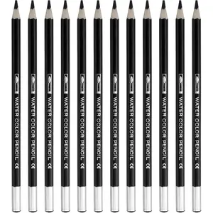 12Pcs Water Soluble Watercolor Pencils for Blending, Coloring, Sketch Drawing, Painting, Black