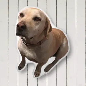 Custom Pillow Shaped Pillow Case Send Photo Picture Pillow Case Pet or People Personalized Photo Pillows Case 3 sizes Customized Gift Christmas Birthday