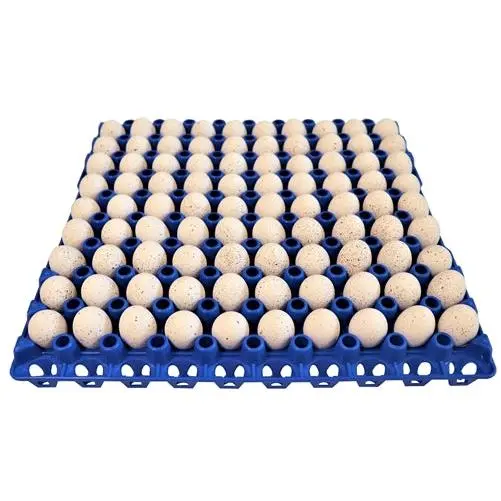 Rite Farm Products 90 Egg Capacity Quail, Pigeon, Dove, & Bird Size Trays
