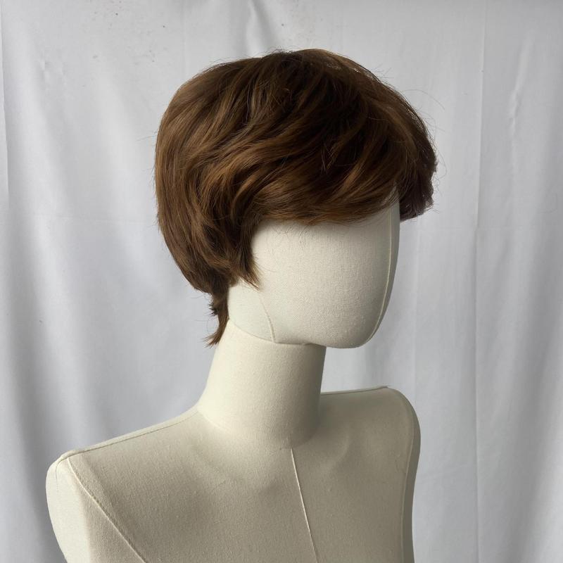 Men's Natural Straight Wig - Matte Black Brown with Elastic Mesh Cap for a Secure Fit, Suitable for Cosplay, Theatrical Performances, and Everyday Use - Compatible with All Light Beige Shades - Specially Crafted in Europe, Easy-to-Wear Wig for Beginners