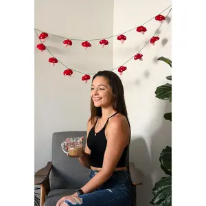 Felt Mushroom Garland