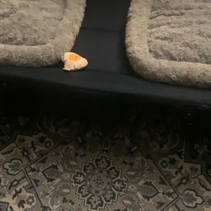 Camping Cot for Adults, 6-Angle Adjustable Folding Camping Bed with Mattress, Lightweight & Portable for Camping, Office, Outdoor, Supports 450 lbs with Carry Bag