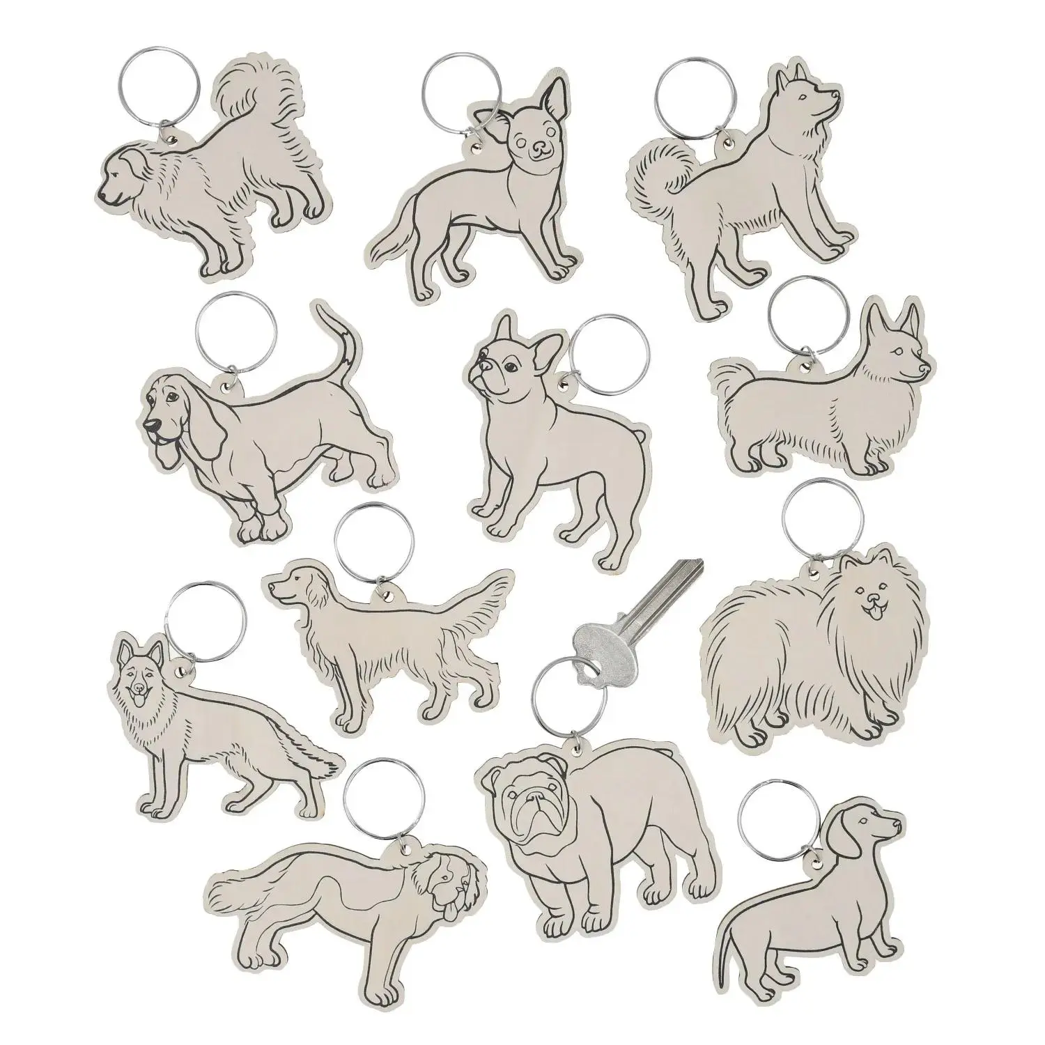 3" x 2 1/2" Bulk Color Your Own Dog Keychains Assortment