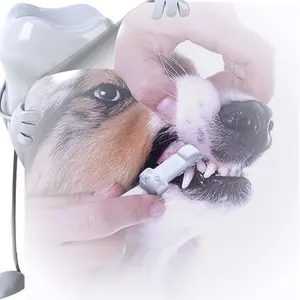 Pet Cleaning Teeth  Portable  Tool