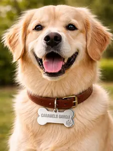 Dog Bone Shaped Engraved Dog Tag, Pet ID Tag, Dog Name Tag, Puppy Tag, gift for dog mom or dad, Pet lover