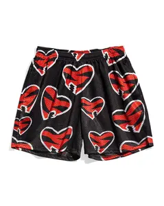 Shawn Michaels HBK Backlash 2004 Entrance Shorts