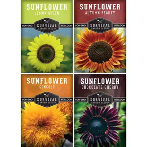 Sunflower Seed Collection - Non-GMO Herb Garden Seeds - Includes Sunflower, Lemon, and Chocolate Cherry Varieties