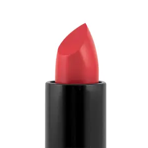 Palladio Beauty Dreamy Matte Lipstick - Velvet Matte Finish, Moisturizing Formula with Aloe, Ginseng & Castor Seed Oil, Cruelty-Free Makeup