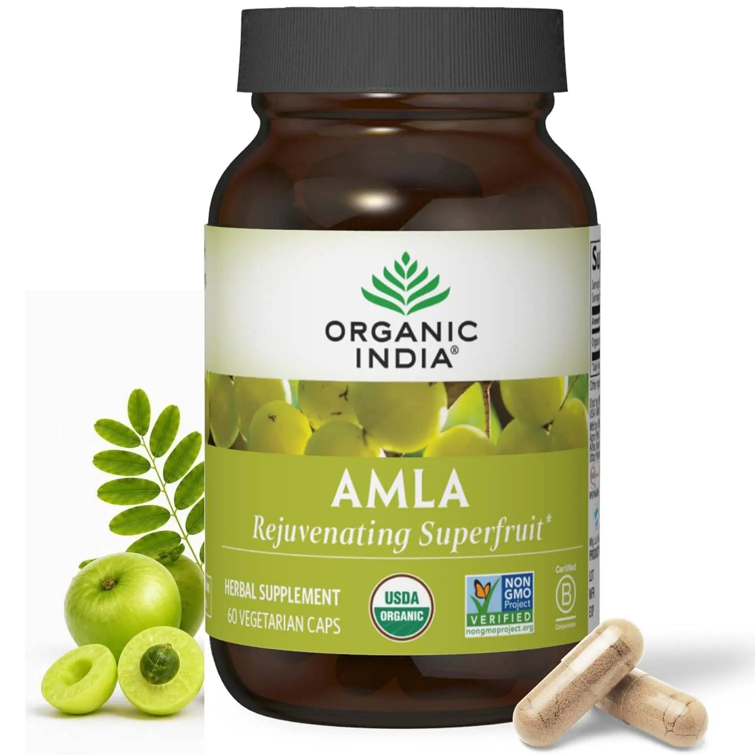 Amla Capsules Organic - Indian Gooseberry Herbal Vitamin Supplement, Amla Supplement, Immune Support, Vegan, Gluten-Free, Ayurvedic, Antioxidant, Non-GMO - 60 Capsules