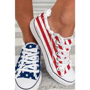 Blue American Flag Lace-up Canvas Flat Shoes
