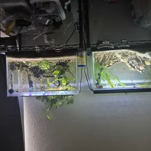 Hygger Fish Tank Cleaner 3 in 1 Siphon Coral Feeder Kit for small Tank ，Hand Siphon Hose to Remove and Change Water or Sand in Minutes - Fish Aquarium Accessories, Supplies & Cleaning Tools