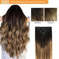 #(T2/6)P(T2/18) Chestnut Brown to Dirty Blonde