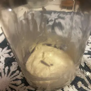 BUCKY - LIVE Active Sourdough Starter 35 Grams for Baking Authentic Healthy Bread - Made in USA - Easy to Use for Beginners & Experienced Bakers Flour