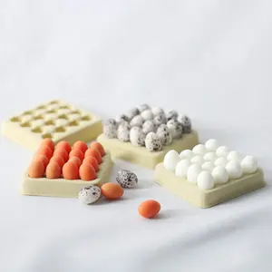 Miniature Decorative Figurine Ob11 Model Photography Props, Miniature Food Playset, Birthday Gift, DIY Moss Terrarium Kit, Egg Boxes