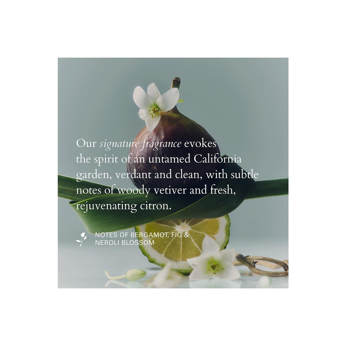 Roz Hair RŌZ Hair Healthy Hair And Scalp Kit Roz Hair RŌZ Hair Healthy Hair And Scalp Kit