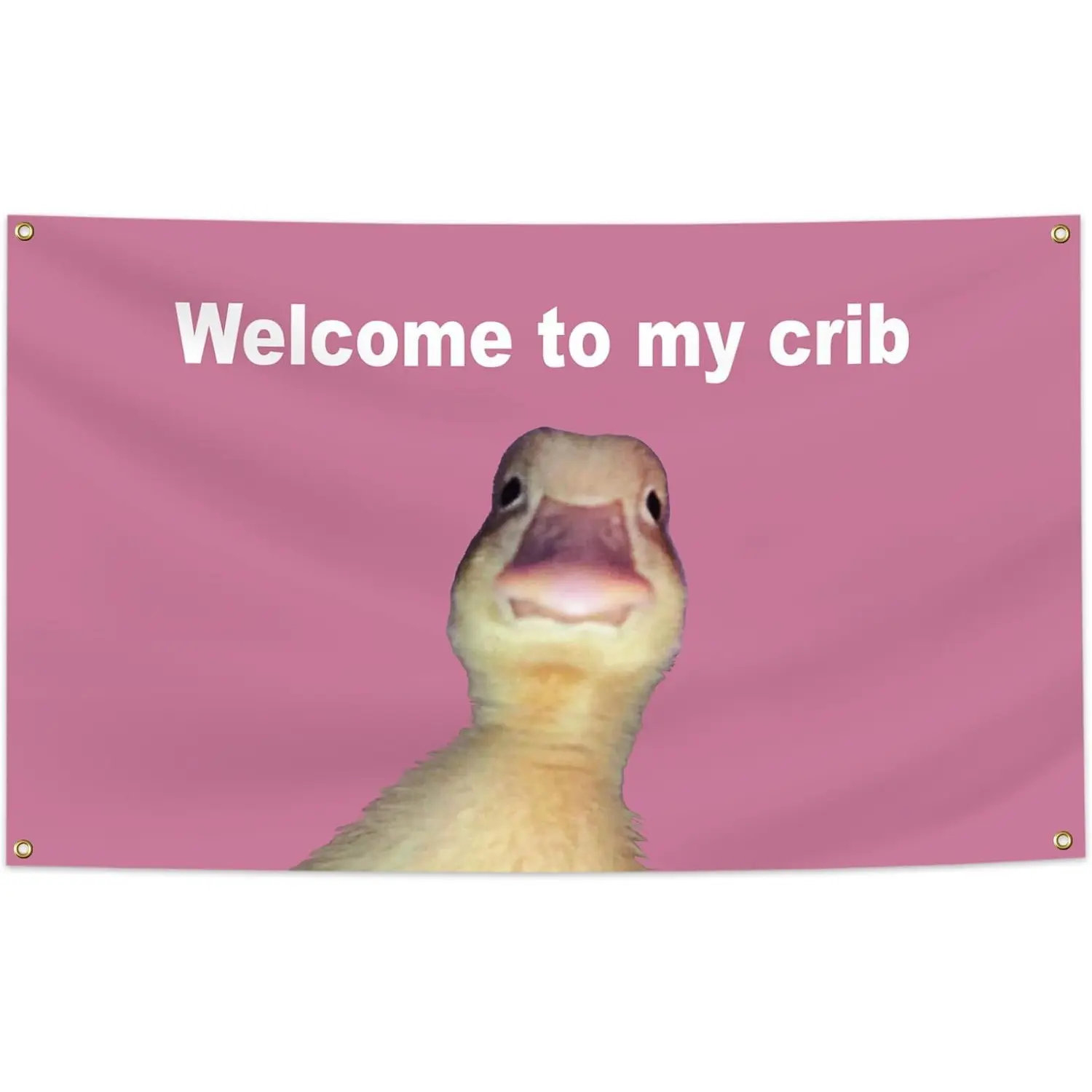 Welcome to My Crib Funny Flag 3x5 Ft with 4 Brass Grommets, for College Dorm Room Bedroom Yard Bar Decor