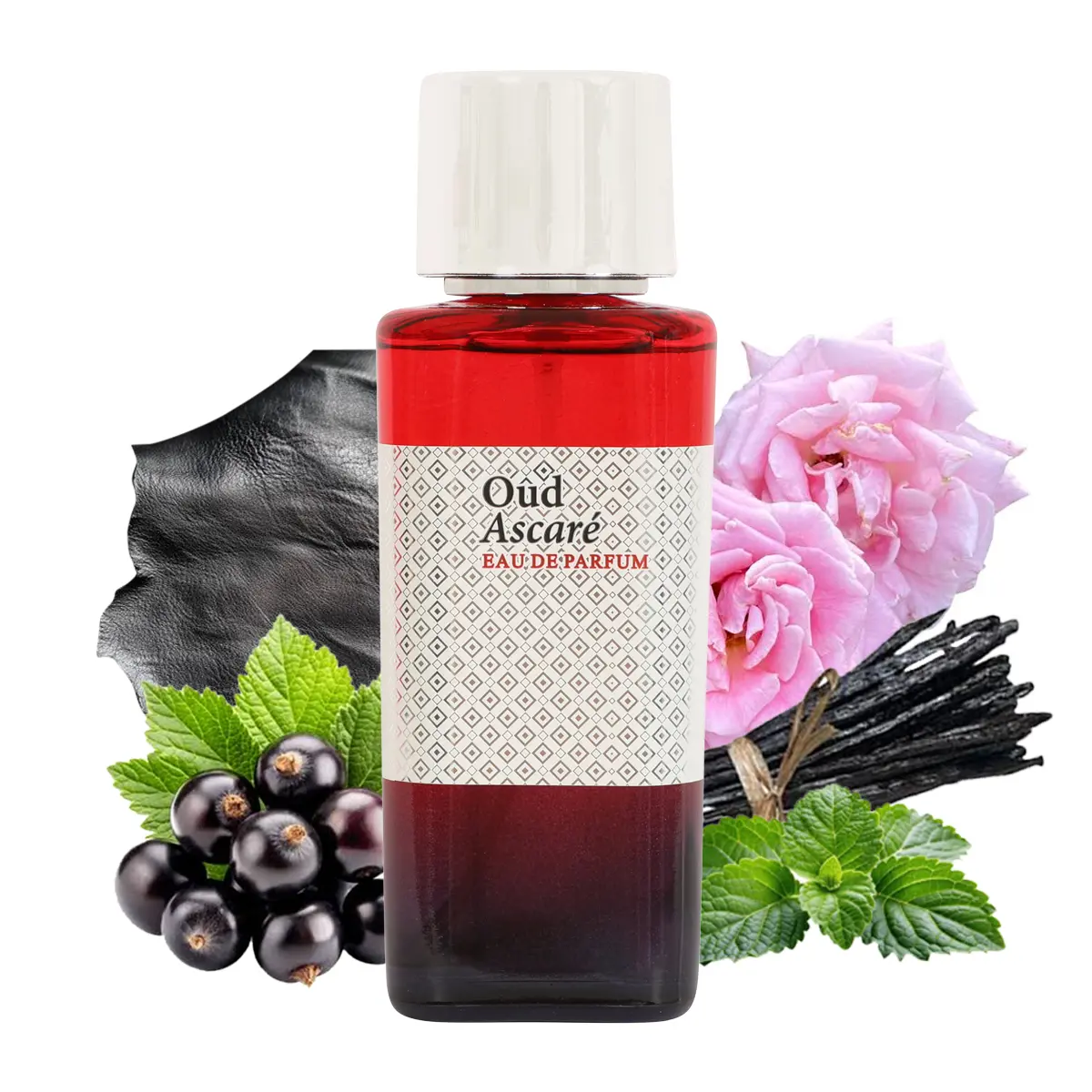 EBC Oud Ascaré Eau de Parfum 100ml Natural Spray Vaporisateur 80% Vol. 3.4 Fl. Oz.